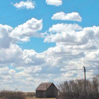 Timothy Schafer Photo 13