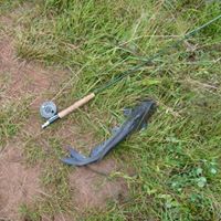 Richard Mace Photo 13