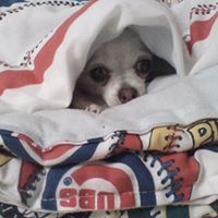 Angela Duke Photo 39