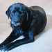 Bonnie Strayer Photo 11