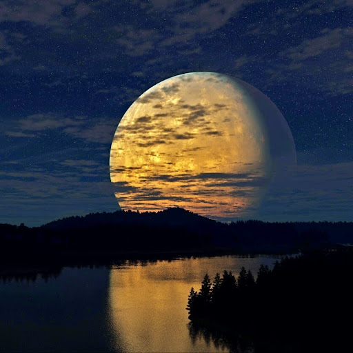 Angie Mcdowell Photo 14