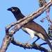Jay Light Photo 11