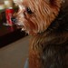 Brandi Moody Photo 36