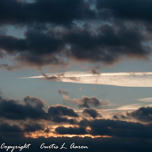 Curtis Aaron Photo 29