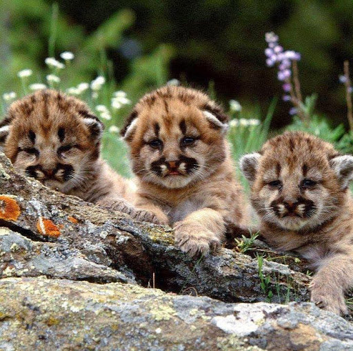 Victoria Pappas Photo 7