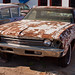 Steve Rust Photo 22