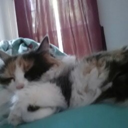 Sandra Mcfarland Photo 23