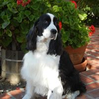 Mary Mckinzie Photo 5