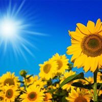 Tracy Dennis Photo 26