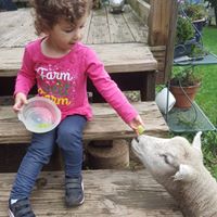 Sarah Hiller Photo 33