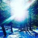 Tracy Bradley Photo 27