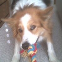 John Layman Photo 40