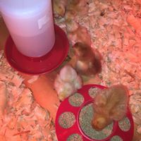 John Poulos Photo 24 John Poulos Photo 24