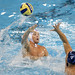 Marko Savic Photo 15