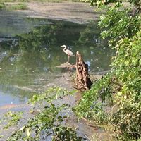 Debby Mitchell Photo 9