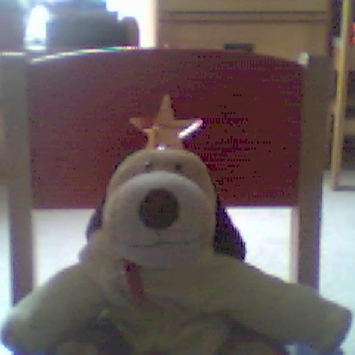 Michael Waddle Photo 2