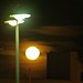 Barbara Wolf Photo 39