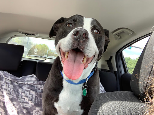 Rick Phelps Photo 44 Rick Phelps Photo 44