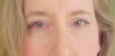 Diane Allison Photo 10