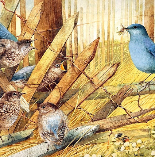 Debra Pullen Photo 16