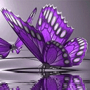 Michelle Slaughter Photo 19