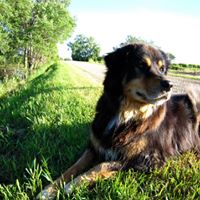 Tanya Robertson Photo 22