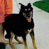 Katherine Simon Photo 21