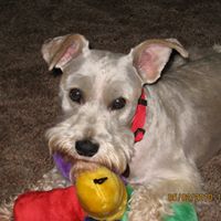 Judith Atkinson Photo 20