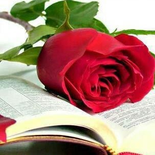 Martha Gutierrez Photo 16