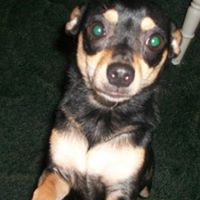 Katherine Kirkland Photo 12