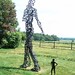 David Cass Photo 17