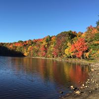 Ying Zhu Photo 22 Ying Zhu Photo 22