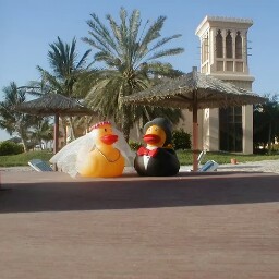 Gerald Neumann Photo 14