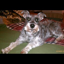 Jerry Thurman Photo 29