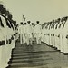 Joseph Reeves Photo 19