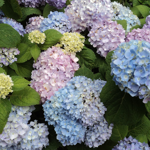 Jim Harding Photo 28 Jim Harding Photo 28