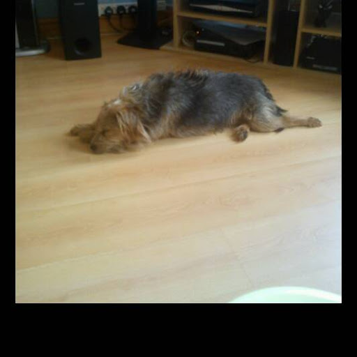 Maria Flint Photo 14