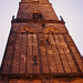 Frederic Albrecht Photo 3