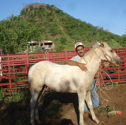 Julio Osuna Photo 8