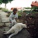 Kelly Hoover Photo 29