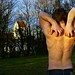 Shawn Parish Photo 6