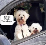 Cathy Cooper Photo 26