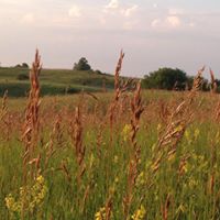 Wendy Larson Photo 39