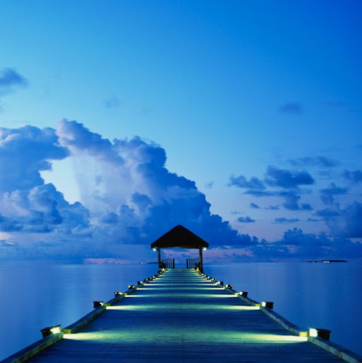 Lisa Vanover Photo 5