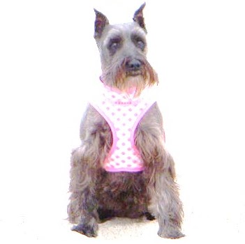 Phyllis Murray Photo 31