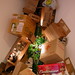 Rachel Owen Photo 13