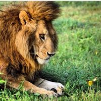 Kendrick Roberson Photo 2