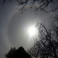 Sandie Smith Photo 34