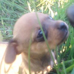 Elizabeth Hubbs Photo 7