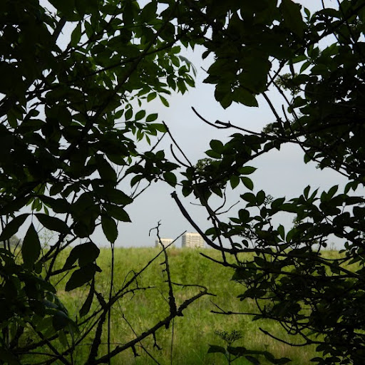 Phillip Newton Photo 35